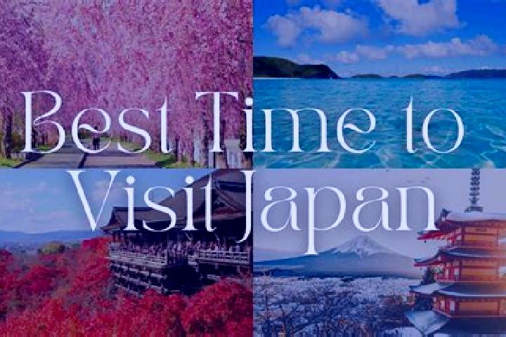 Sadie, 37 — Escort in Miyoshi, Japan