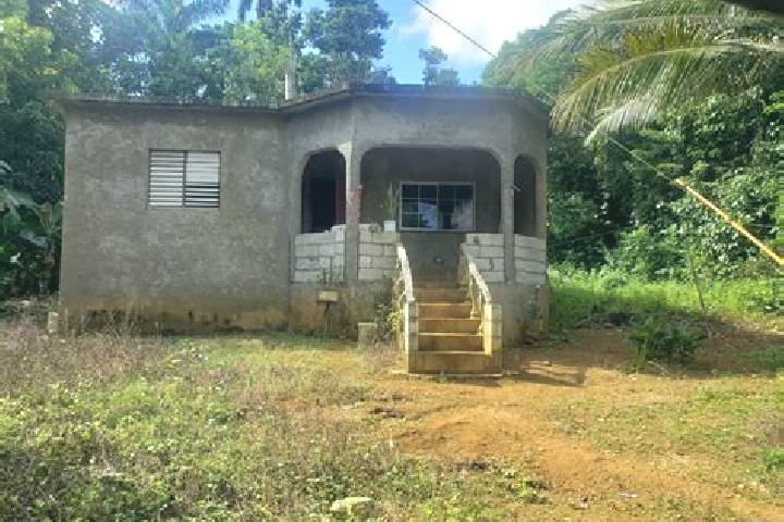 Sadie, 37 — Escort in Moneague, Jamaica
