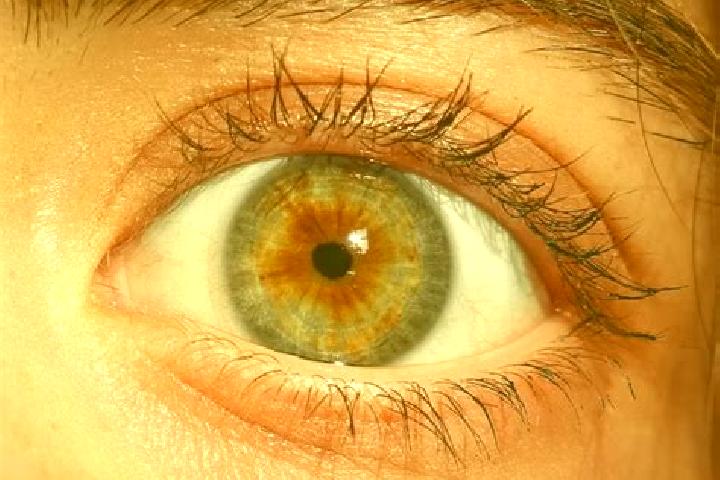 Sadie, 38, a red hazel-eyed middle eastern companion based in Ochi. Offering Tantra, A-Level, Overnight. Available for incall and outcall, day and evening da...