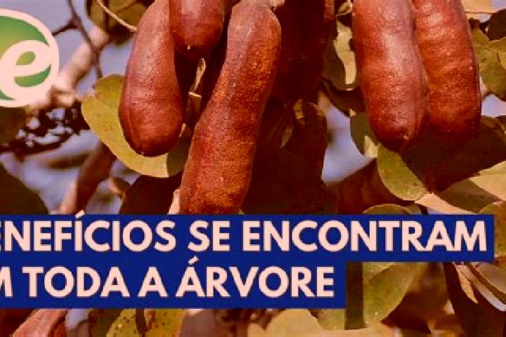 Sadie, 38 — Escort in Jatoba do Piaui, Brazil