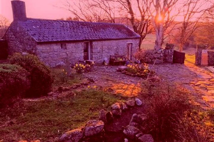 Sadie, 38 — Escort in Mitchelstown, Ireland