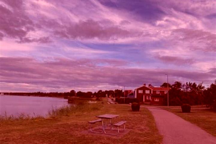 Sadie, 38 — Escort in Timmernabben, Sweden
