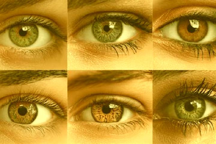 Sadie, 39, a chestnut hazel-eyed caucasian companion based in Felicity. Offering BDSM, OWO, Couples. Available for incall and outcall, overnight bookings ava...