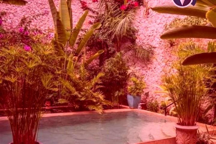 Sadie, 39 — Escort in Perales, Mexico