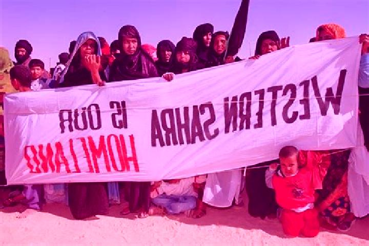 Sage, 20 — Escort in Bir Ganduz, Western Sahara