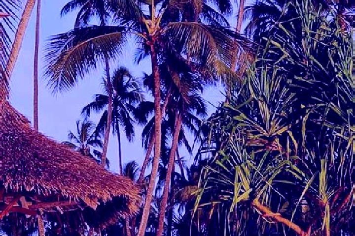 Sage, 20 — Escort in Chala, Tanzania