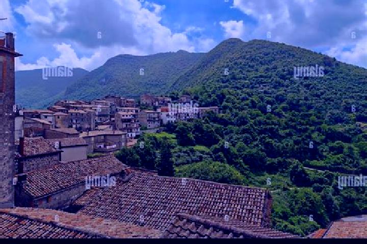 Sage, 20 — Escort in Patrica, Italy
