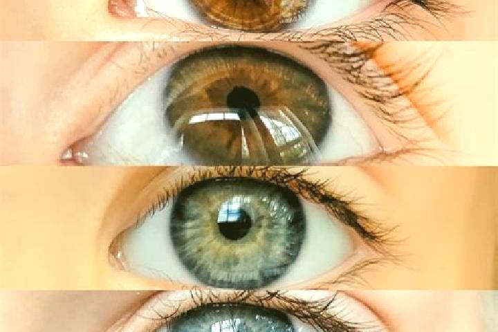 Sage, 21, a chestnut grey-eyed mixed companion based in Oldenzaal. Offering Prostate Massage, Domination, GFE, Dinner Date, 69. Available for incall and outc...