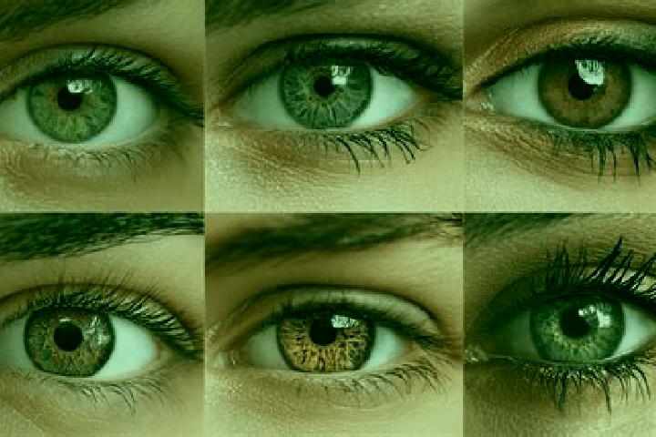 Sage, 21, a chestnut hazel-eyed middle eastern companion based in Boituva. Offering Girlfriend Experience, Duos, Travel Companion, OWO. Available for incall ...