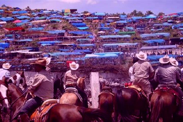 Sage, 21 — Escort in Ayotitlan, Mexico
