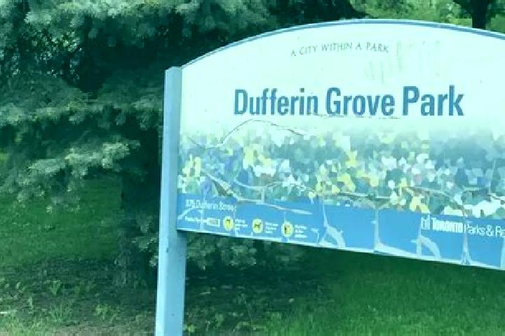 Sage, 21 — Escort in Dufferin Grove, Canada