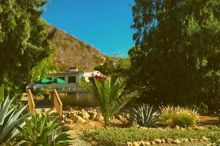 Sage, 21 — Escort in El Sauzal de Rodriguez, Mexico