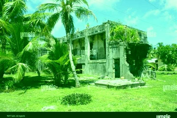 Sage, 21 — Escort in Jabor, Marshall Islands