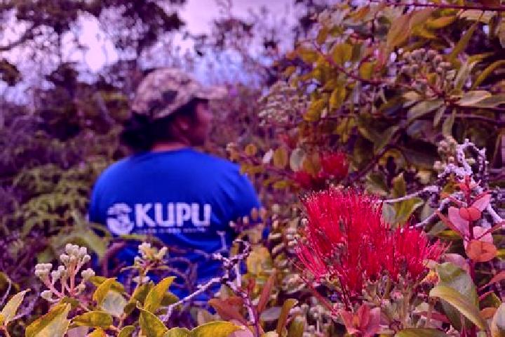 Sage, 21 — Escort in Kalihi Valley, United States
