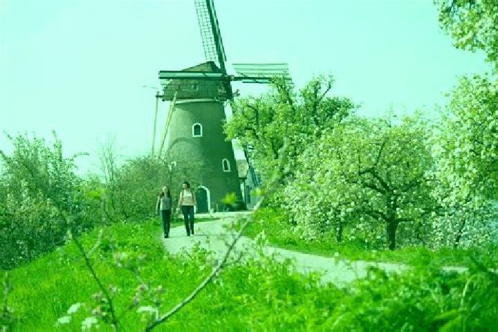 Sage, 21 — Escort in Nederwoud, Netherlands
