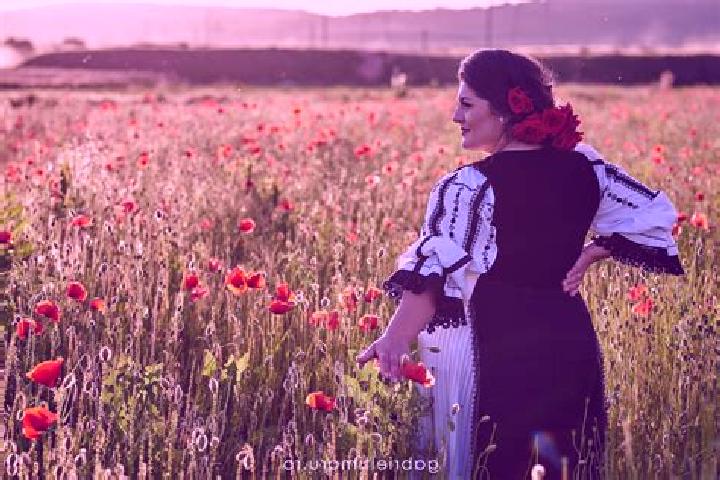 Sage, 21 — Escort in Vintu de Jos, Romania