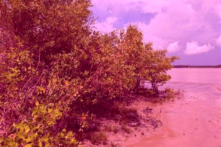 Sage, 21 — Escort in Weg naar Zee, Suriname