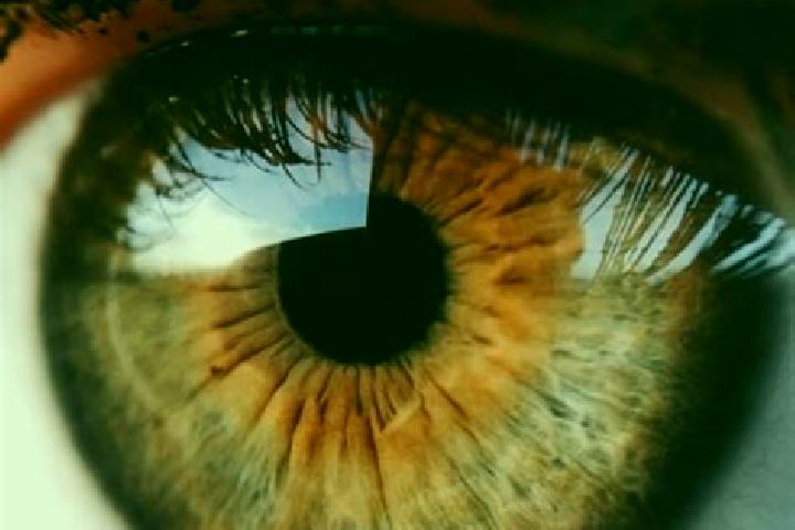 Sage, 22, a red hazel-eyed middle eastern companion based in Lianfeng. Offering A-Level, Domination, Fetish. Available for incall and outcall, day and evenin...