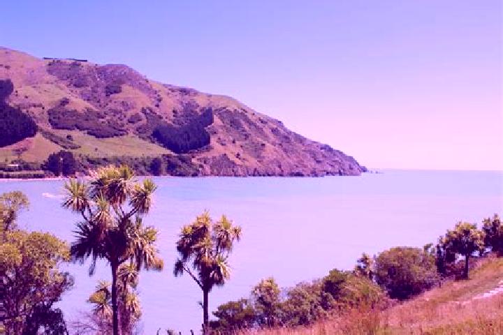 Sage, 22 — Escort in Acacia Bay, New Zealand