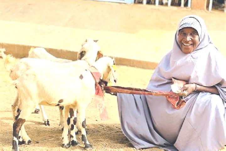 Sage, 22 — Escort in Bagaroua, Niger