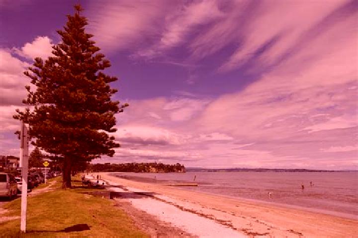 Sage, 22 — Escort in Eastern Beach, New Zealand