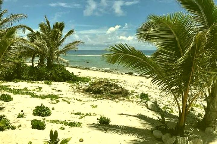 Sage, 22 — Escort in Matavera, Cook Islands