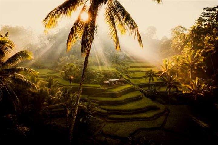 Sage, 22 — Escort in Ubud, Indonesia