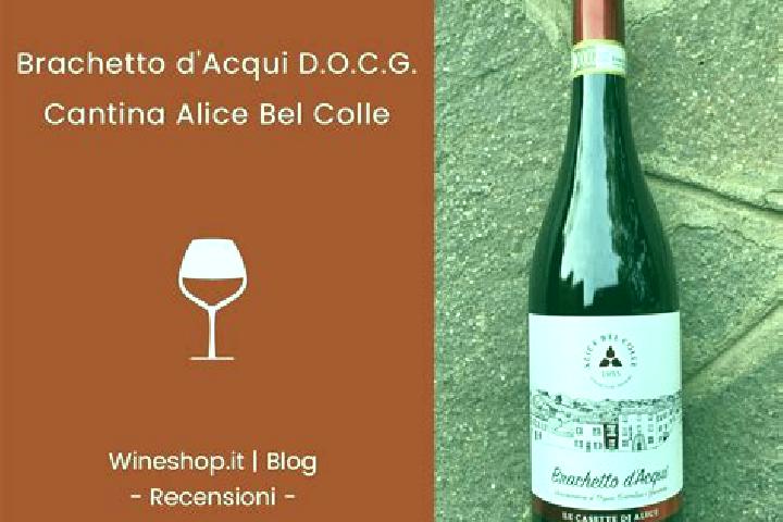 Sage, 23 — Escort in Alice Bel Colle, Italy