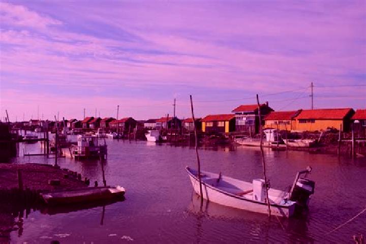 Sage, 23 — Escort in La Tremblade, France