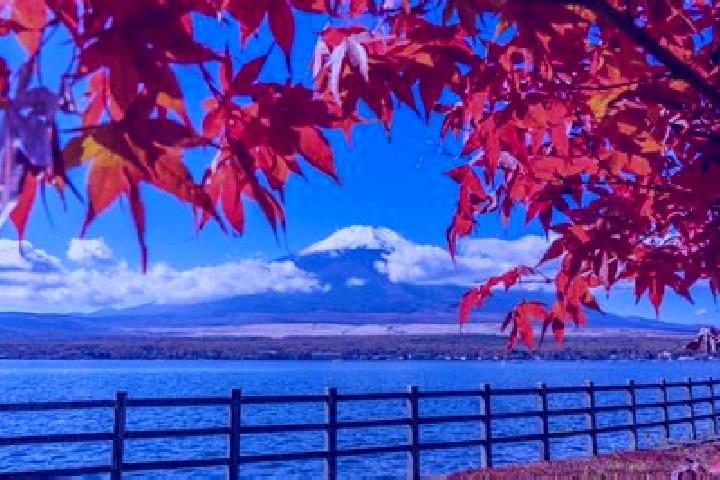 Sage, 23 — Escort in Moseushi, Japan