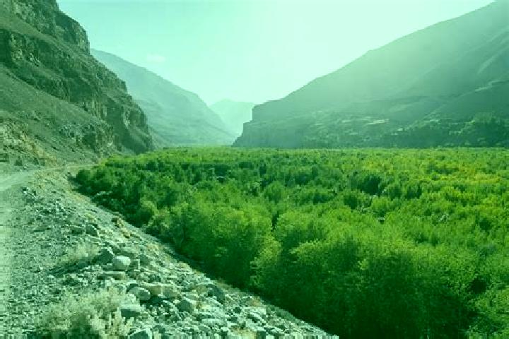Sage, 23 — Escort in Roshtqal a, Tajikistan