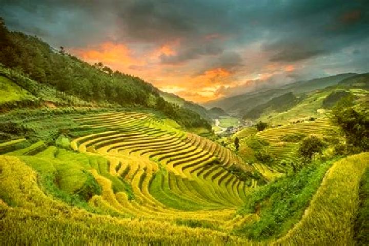 Sage, 24 — Escort in A Yun Pa, Vietnam