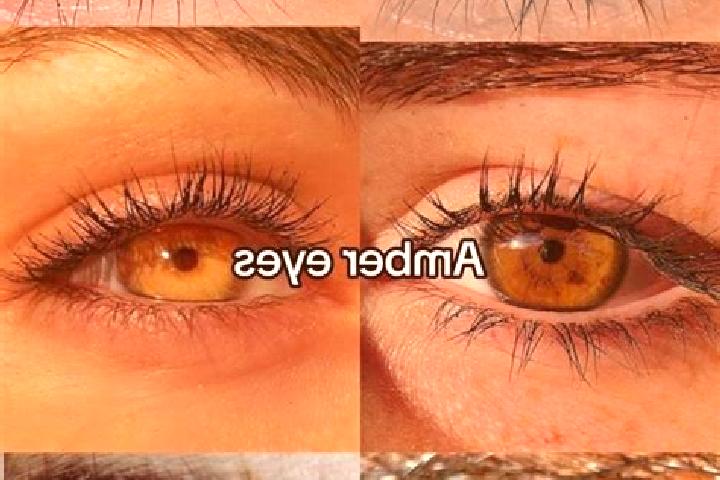 Sage, 25, a chestnut amber-eyed caribbean companion based in Elishama . Offering Overnight, Party Girl, CIM. Available for incall and outcall, day and evenin...