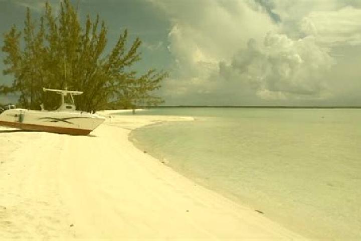 Sage, 25 — Escort in Andros Town, Bahamas