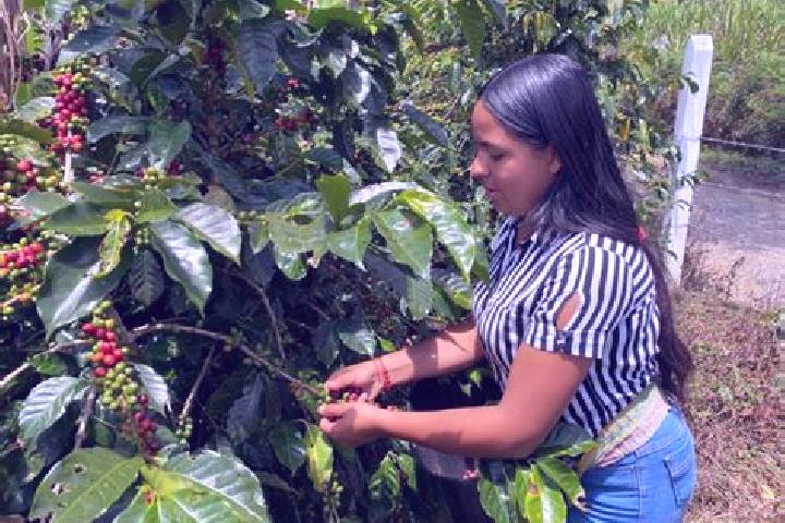 Sage, 25 — Escort in Chitaraque, Colombia