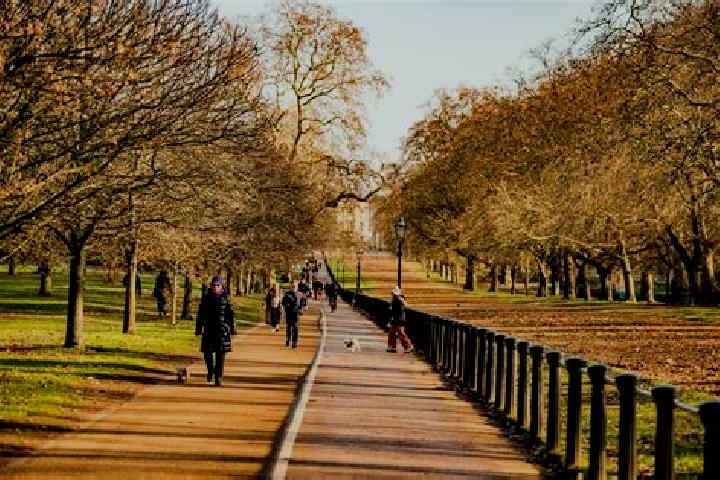 Sage, 25 — Escort in Hyde Park, Australia