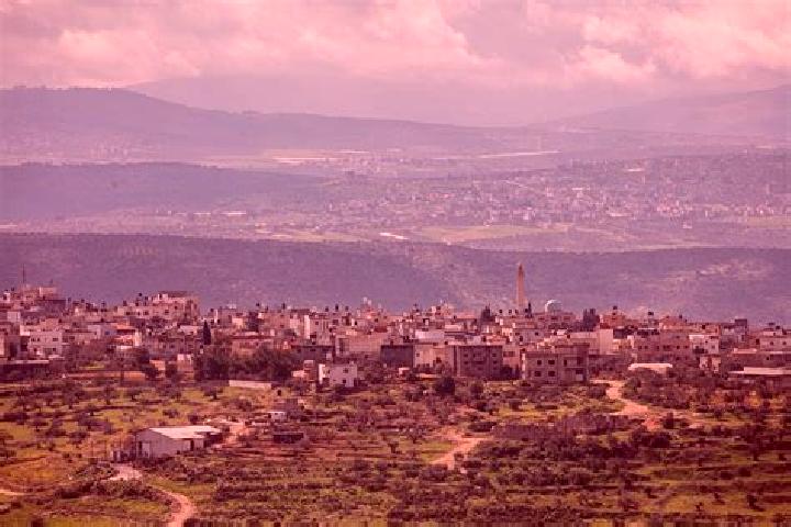 Sage, 25 — Escort in Jalbun, Palestine