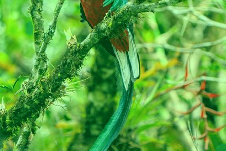 Sage, 25 — Escort in Quetzal Edzna, Mexico