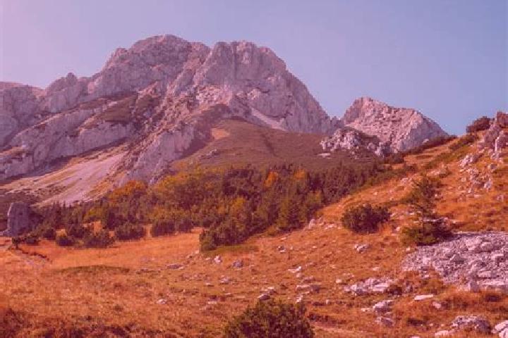Sage, 26 — Escort in Sutjeska, Serbia