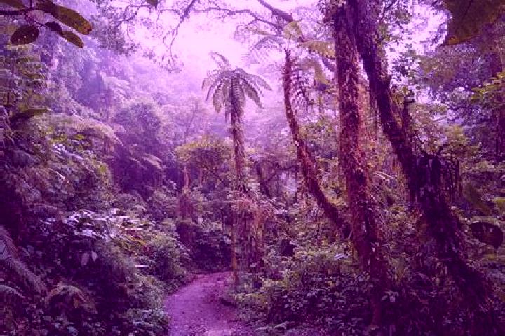 Sage, 27 — Escort in Fern Forest, United States
