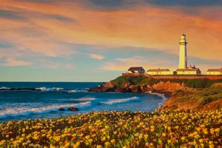 Sage, 27 — Escort in Pescadero, United States