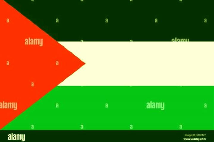 Sage, 27 — Escort in Shabtin, Palestine