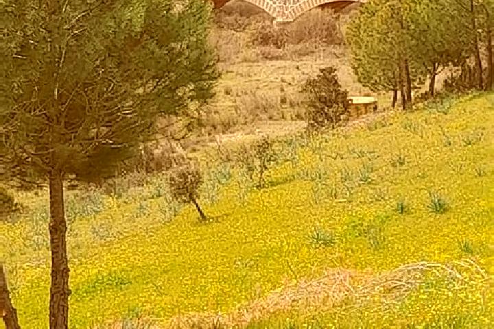Sage, 27 — Escort in Valdemanco del Esteras, Spain