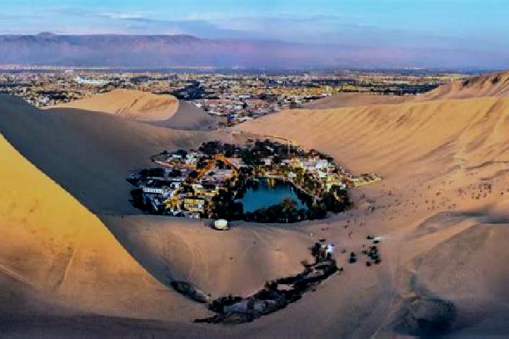 Sage, 28 — Escort in Ica, Peru