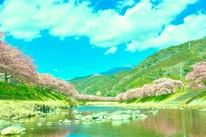 Sage, 28 — Escort in Kawazu-ikadaba, Japan