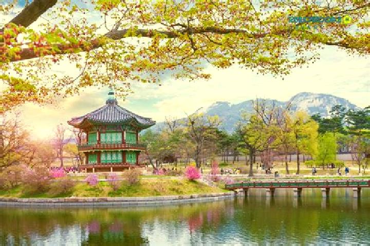 Sage, 28 — Escort in Santyoku, South Korea