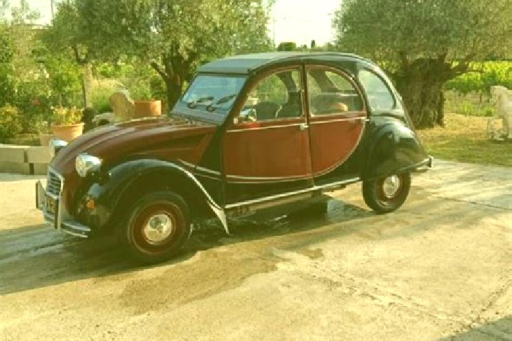 Sage, 28 — Escort in Valreas, France