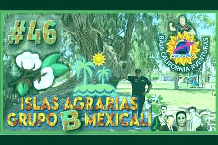 Sage, 29 — Escort in Islas Agrarias Grupo B, Mexico
