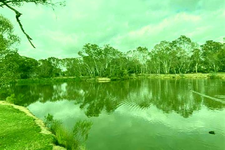 Sage, 29 — Escort in Kangaroo Flat, Australia