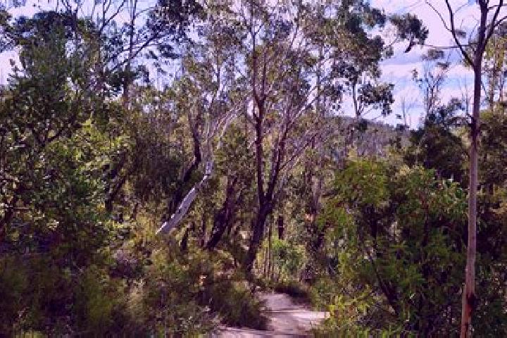 Sage, 29 — Escort in Mount Victoria, Australia